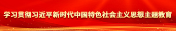 大鸡巴操大鸡巴学习贯彻习近平新时代中国特色社会主义思想主题教育